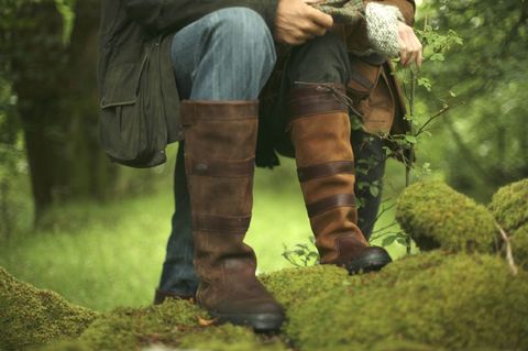 Dubarry Galway walnut en brown